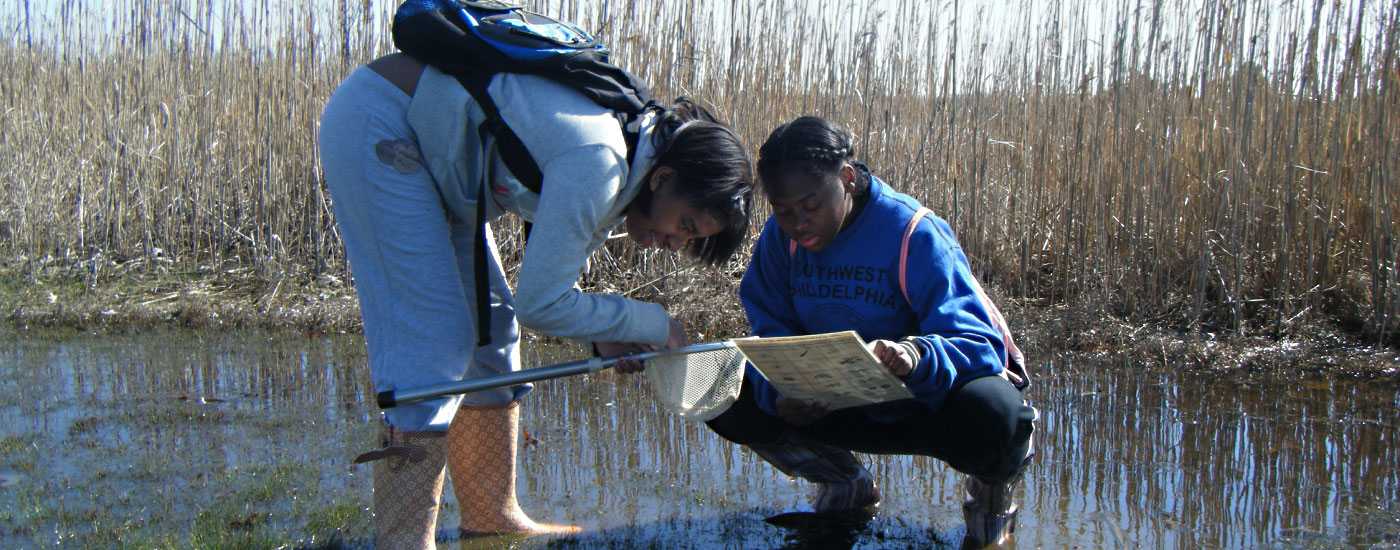 Education at the Academy of Natural Sciences